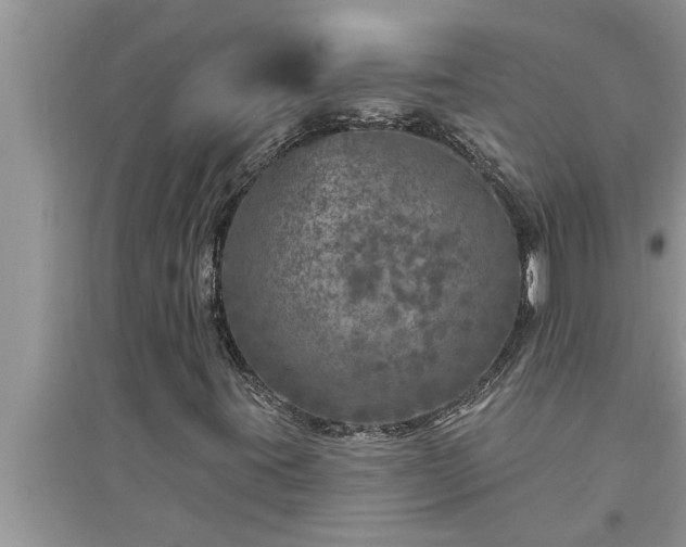 X0000095531395200712211315