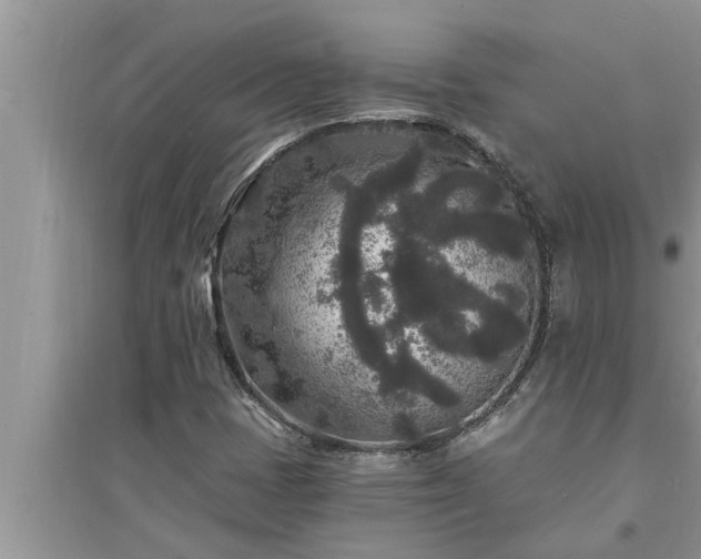 X0000095531401200712211315