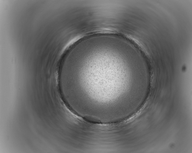 X0000095531402200712211315