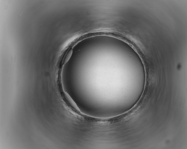 X0000095531406200712211315