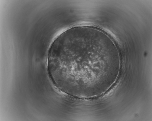 X0000095531413200712211315