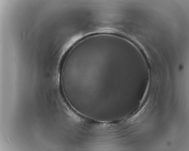 X0000095531414200712211315