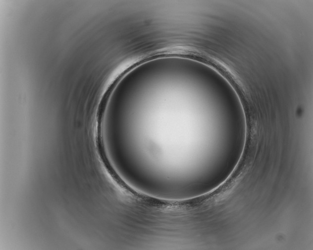 X0000095531418200712211315