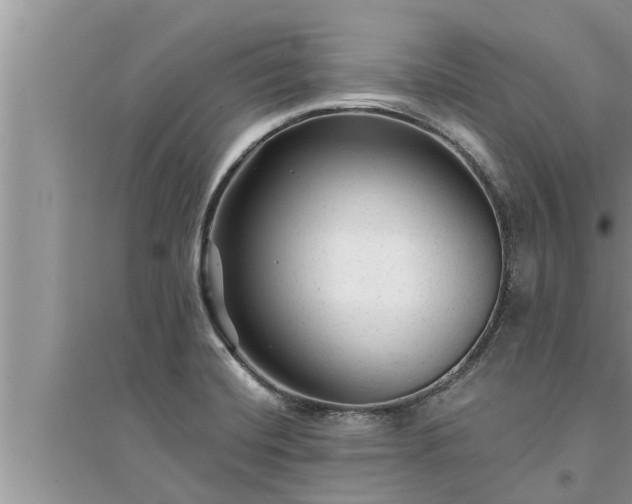 X0000095531420200712211315