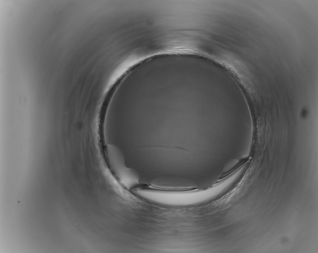X0000095531422200712211315