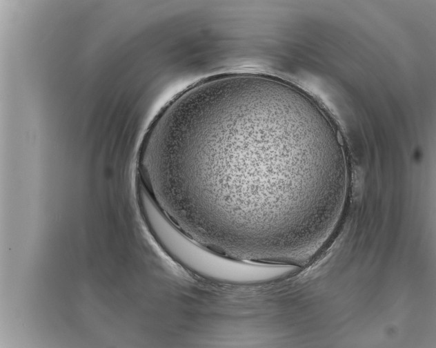 X0000095531424200712211315