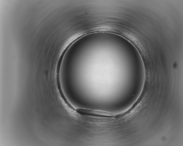 X0000095531426200712211315