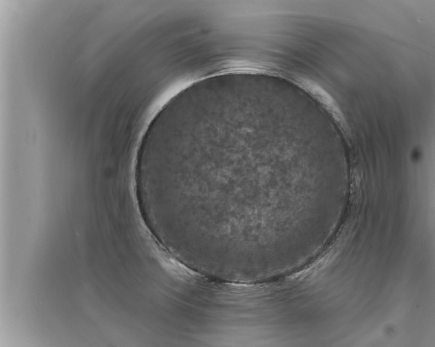 X0000095531427200712211315