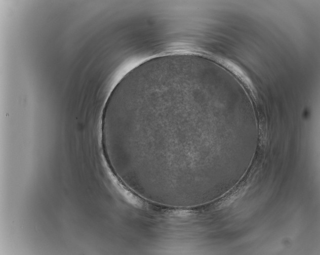 X0000095531431200712211315