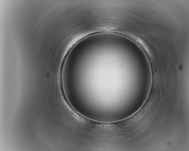 X0000095531432200712211315
