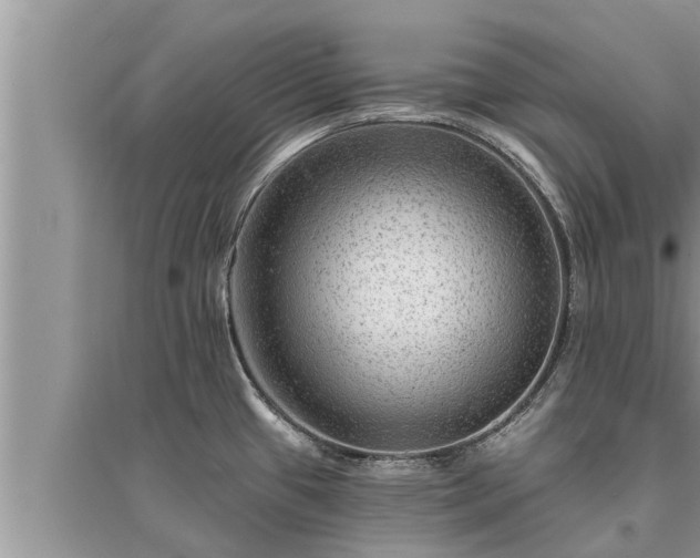 X0000095531433200712211315