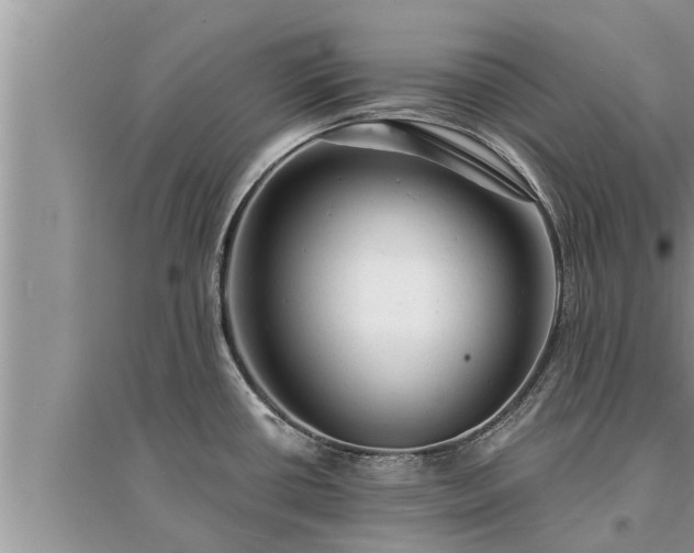 X0000095531434200712211315