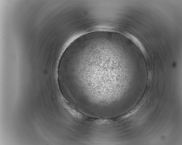 X0000095531435200712211315