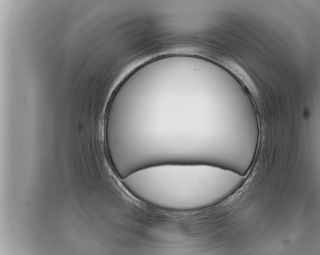 X0000095531436200712211315