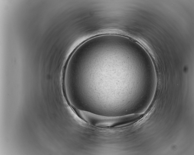 X0000095531438200712211315