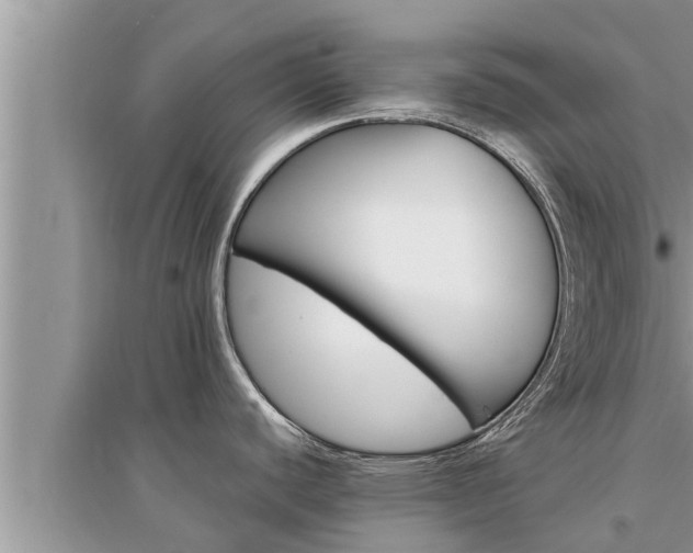 X0000095531440200712211315