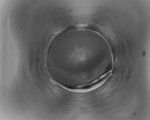 X0000095531441200712211315