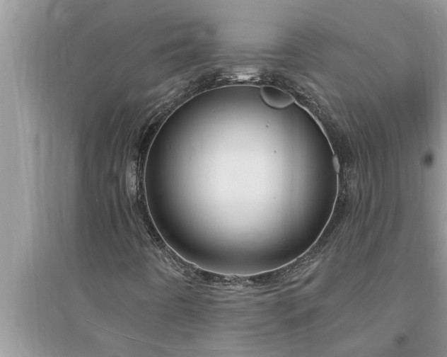 X0000095531442200712211315