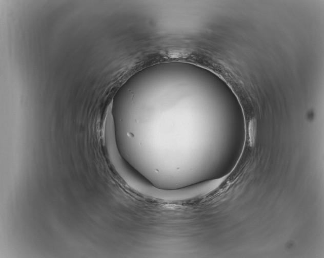 X0000095531443200712211315
