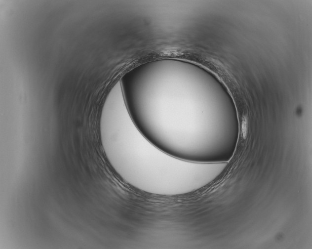 X0000095531444200712211315