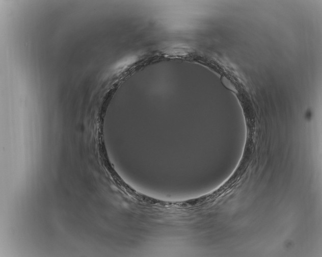 X0000095531445200712211314