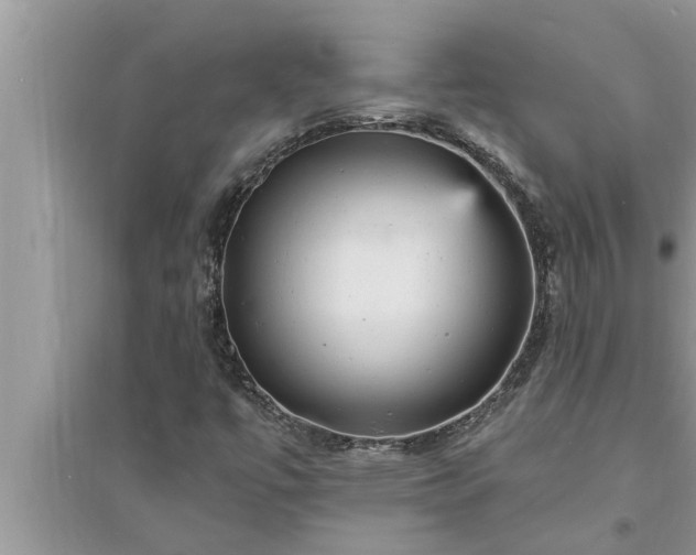 X0000095531447200712211314