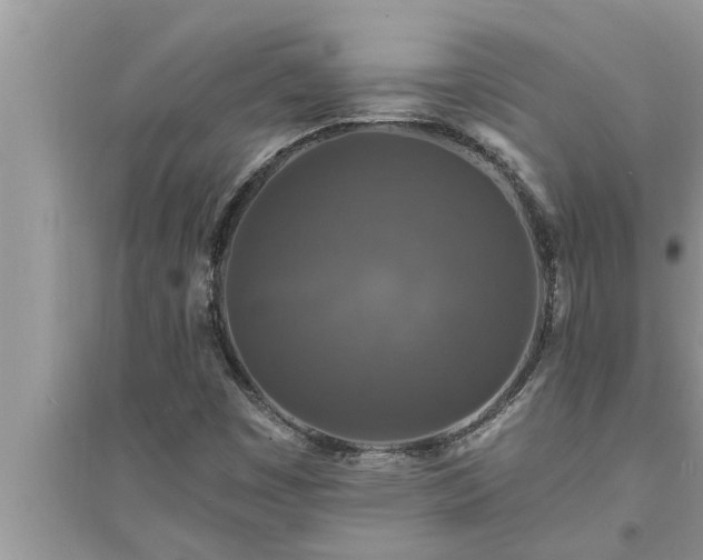 X0000095531449200712211314