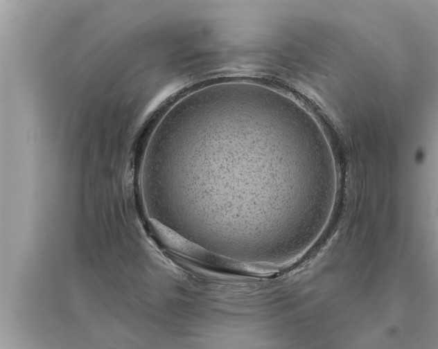 X0000095531450200712211314