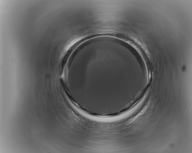 X0000095531453200712211314