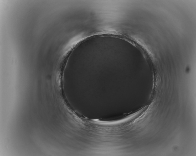 X0000095531455200712211314