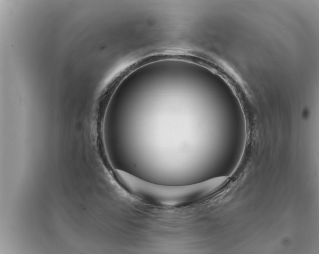 X0000095531456200712211314