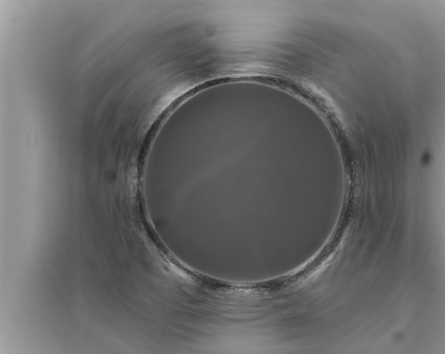 X0000095531457200712211314