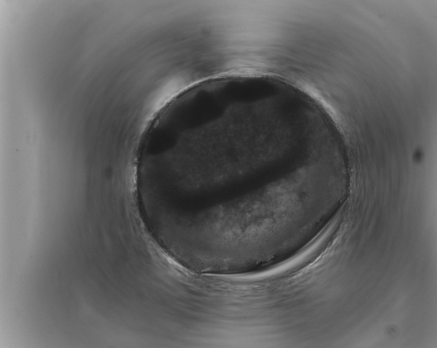 X0000095531459200712211314