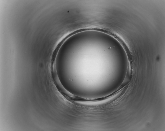 X0000095531460200712211314