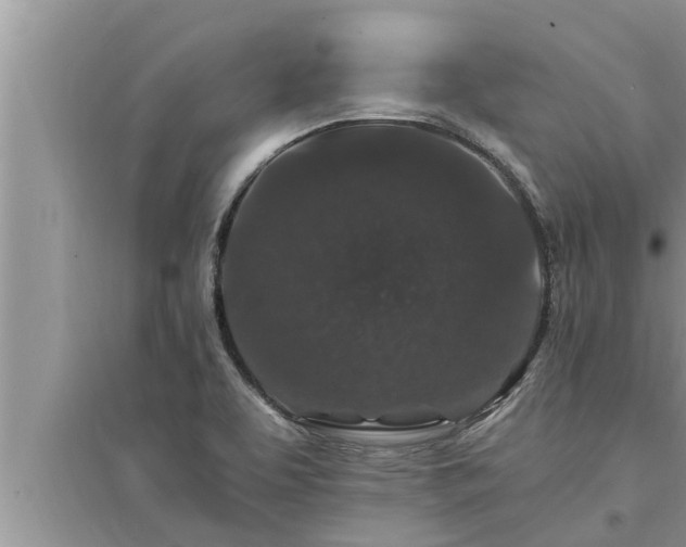X0000095531463200712211314
