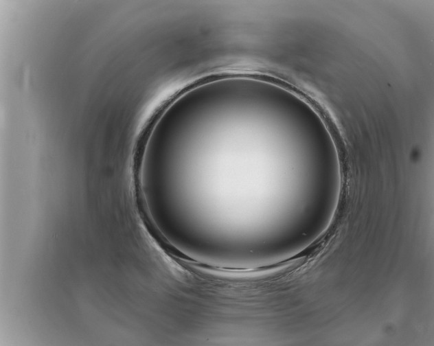 X0000095531464200712211314