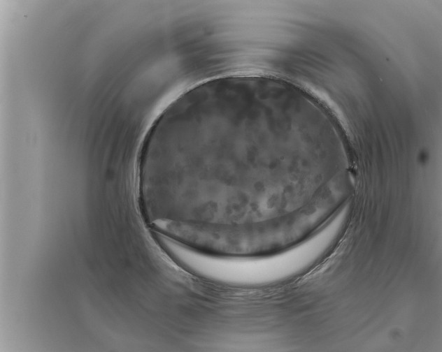 X0000095531467200712211314