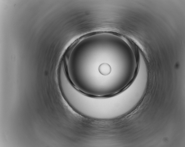X0000095531468200712211314