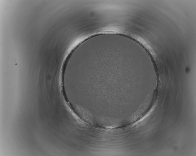 X0000095531469200712211314