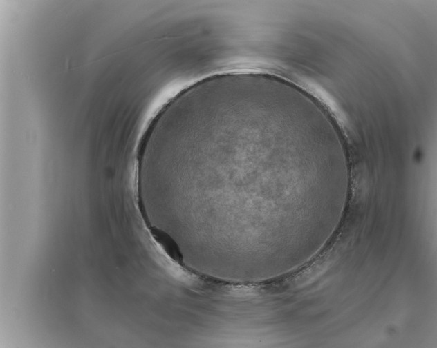 X0000095531472200712211314