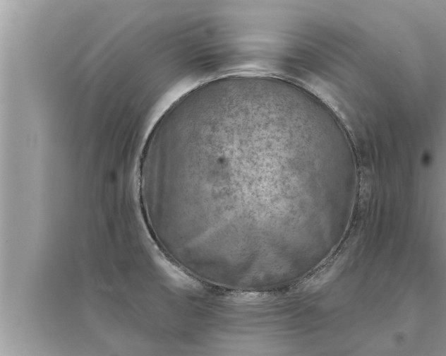 X0000095531474200712211314