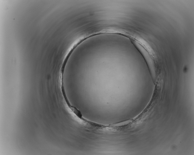 X0000095531476200712211314