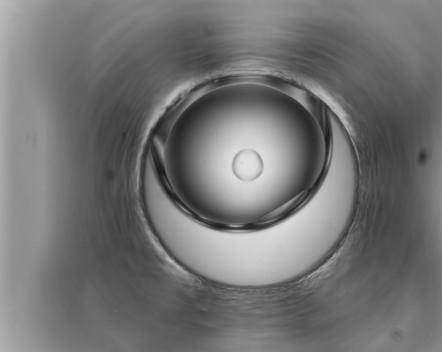 X0000095531477200712211314