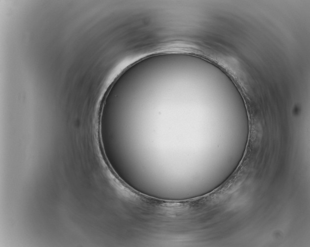 X0000095531478200712211314