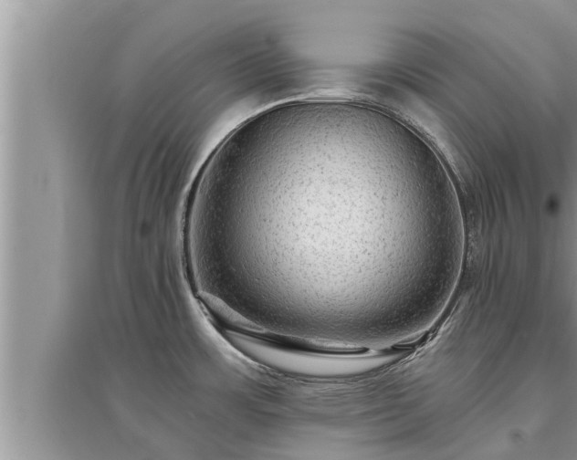 X0000095531483200712211314