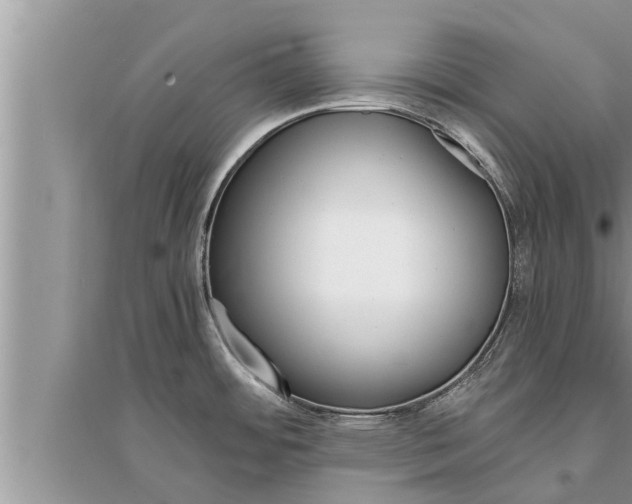 X0000095531484200712211314