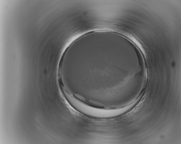 X0000095531485200712211314