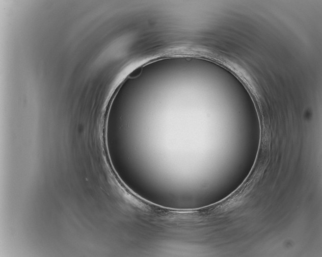 X0000095531486200712211314