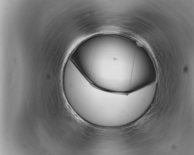 X0000095531488200712211314
