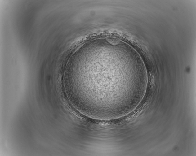X0000095531489200712211313